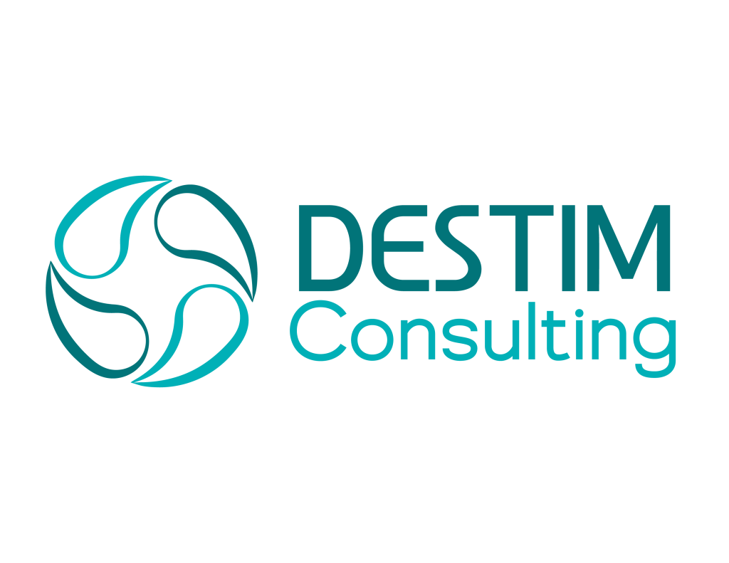 Logo-Destim-Consulting