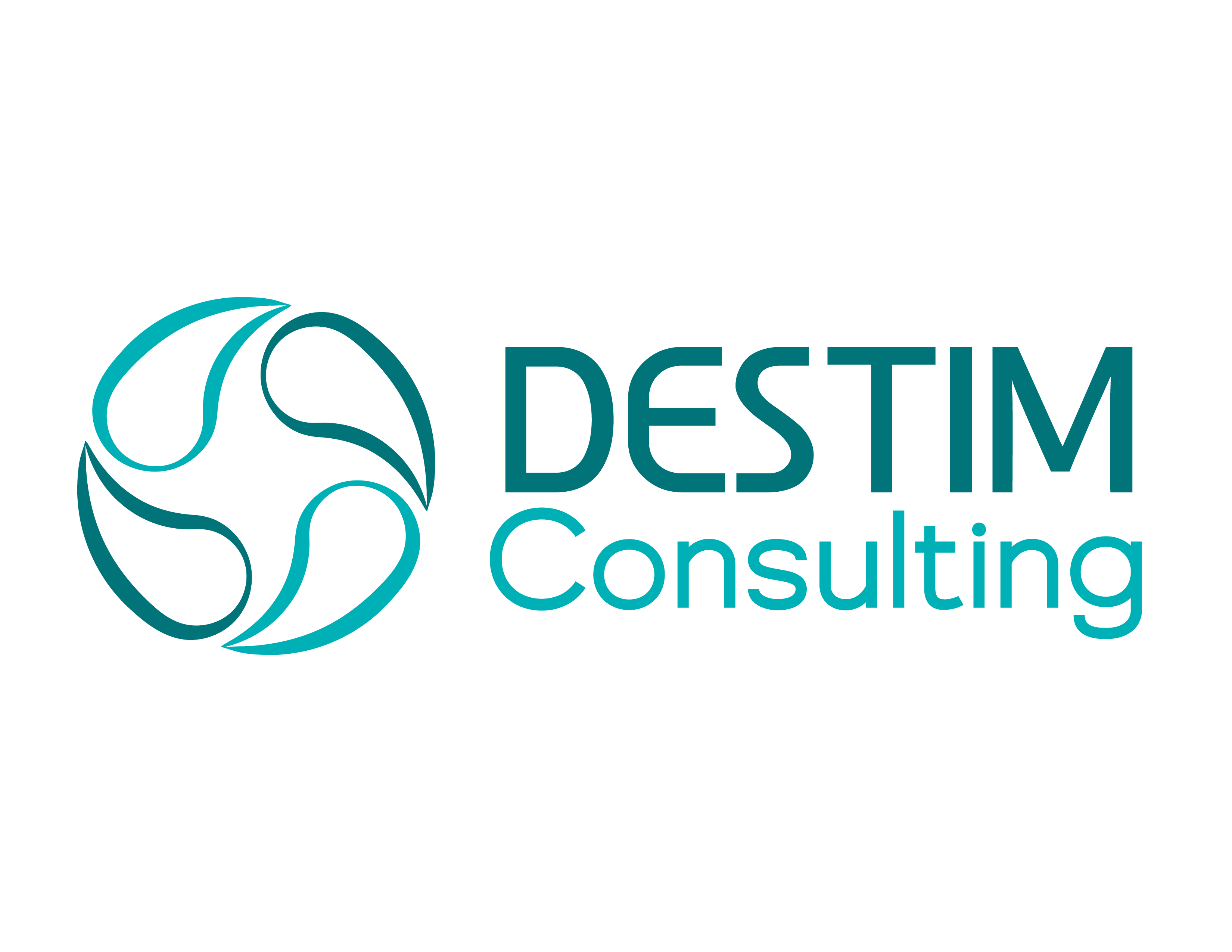 Logo-Destim-Consulting