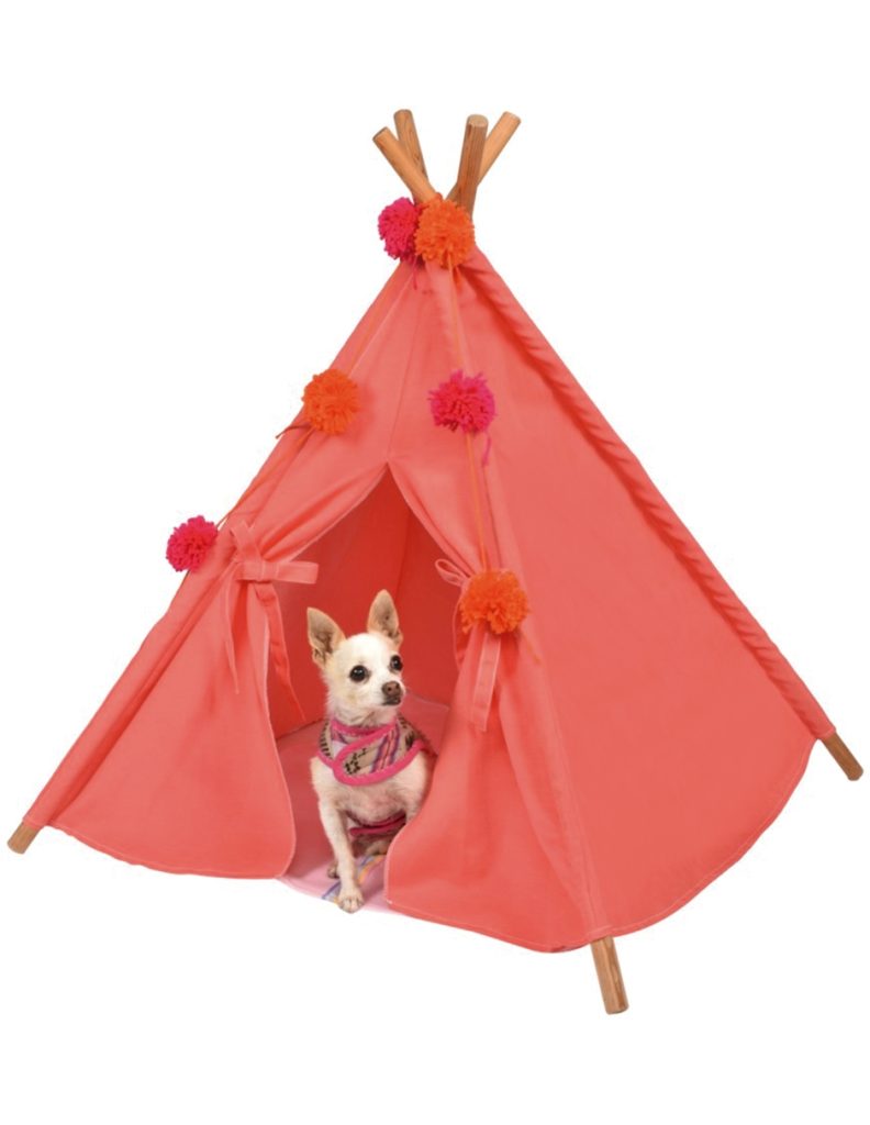 Tipi-Coral-1